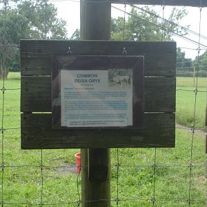 Oryx sign by the Addax