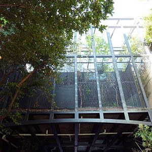 Off-Exhibit Area (Future Jaguar Extension?)