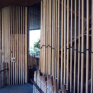 Aviaries Near Entrance