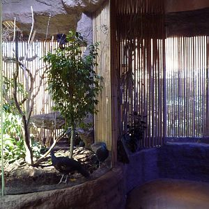 Aviaries Near Entrance