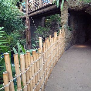 Visitor Walkway