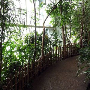 Visitor Walkway
