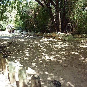 Galapagos Tortoise Exhibit