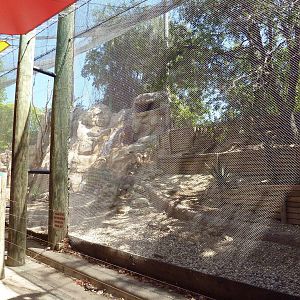 Mixed-Species Exhibit