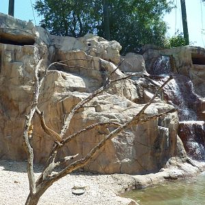 Mixed-Species Exhibit