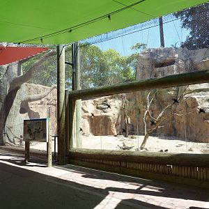 Mixed-Species Exhibit