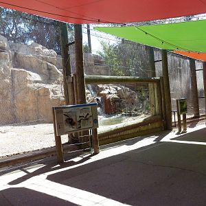 Mixed-Species Exhibit