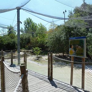Brazos River Country - Shore Birds Aviary