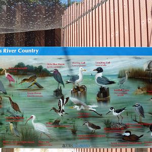 Brazos River Country - Shore Birds Aviary Sign