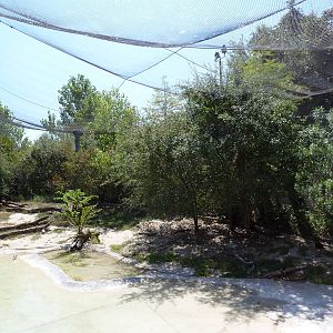 Brazos River Country - Shore Birds Aviary