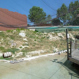 Brazos River Country - Shore Birds Aviary