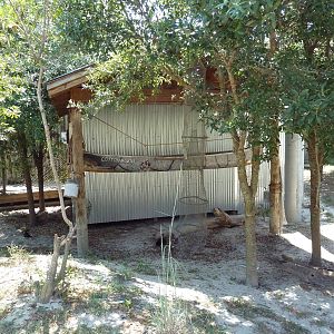 Brazos River Country - Shore Birds Aviary