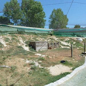 Brazos River Country - Shore Birds Aviary