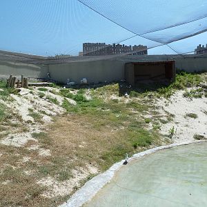 Brazos River Country - Shore Birds Aviary