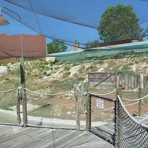 Brazos River Country - Shore Birds Aviary
