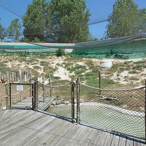 Brazos River Country - Shore Birds Aviary