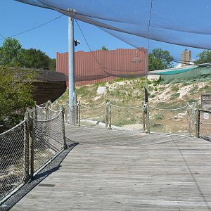 Brazos River Country - Shore Birds Aviary