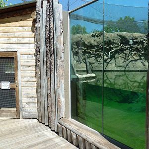 Brazos River Country - Beaver Exhibit