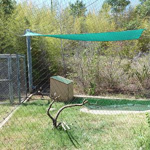 Brazos River Country - Crested Caracara Exhibit