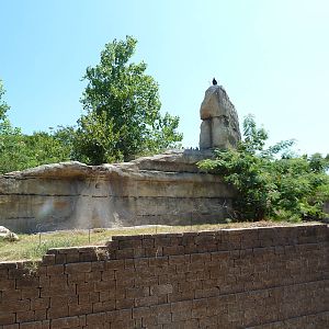 Brazos River Country - Black Bear Exhibit
