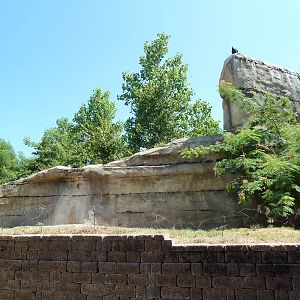 Brazos River Country - Black Bear Exhibit