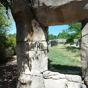 Brazos River Country - Black Bear Exhibit