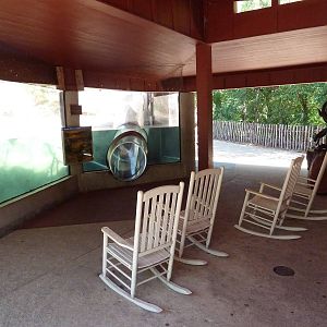 Brazos River Country - River Otter Exhibit