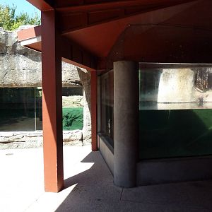 Brazos River Country - River Otter Exhibit