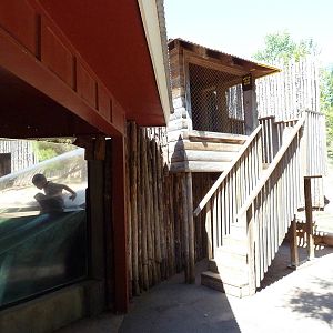 Brazos River Country - River Otter Exhibit