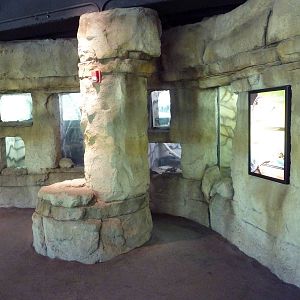 Brazos River Country - Fresh Water Aquarium/Terrarium Building