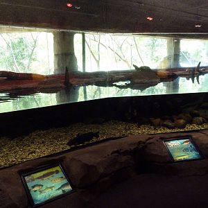 Brazos River Country - Fresh Water Aquarium/Terrarium Building