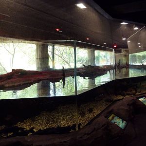 Brazos River Country - Fresh Water Aquarium/Terrarium Building