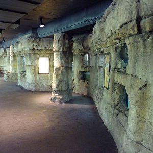 Brazos River Country - Fresh Water Aquarium/Terrarium Building