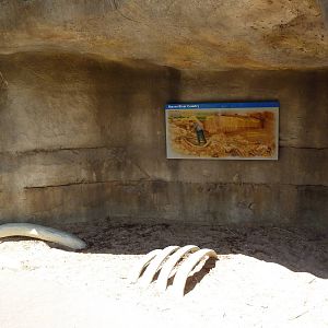 Brazos River Country - Fossil Dig Site