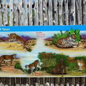 Brazos River Country - 6 Cats Of Texas Sign