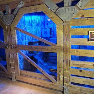 Brazos River Country - Nocturnal House