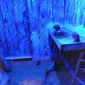 Brazos River Country - Nocturnal House