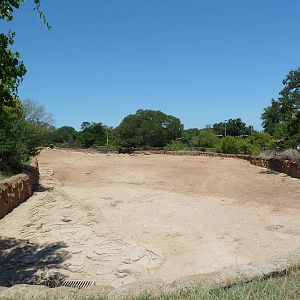Brazos River Country - Bison Exhibit