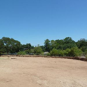 Brazos River Country - Bison Exhibit