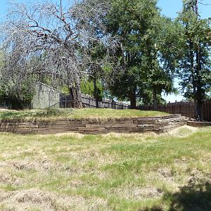 Brazos River Country - White-Tailed Deer/Wild Turkey Exhibit