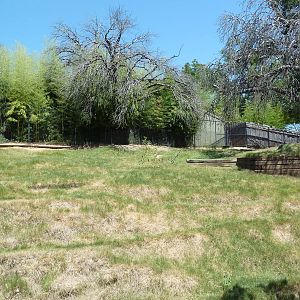 Brazos River Country - White-Tailed Deer/Wild Turkey Exhibit