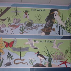 Murals