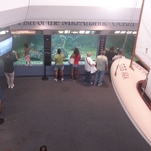 Gallery from second floor