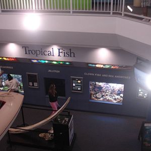 Gallery view from second floor