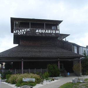 Aquarium Building