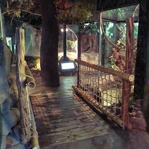 Herpetarium - Entrance Area