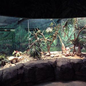 Herpetarium - Venomous Snake Exhibits