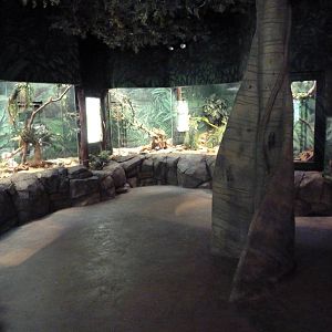 Herpetarium - Venomous Snake Exhibits