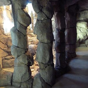 Herpetarium - Desert Dwellers