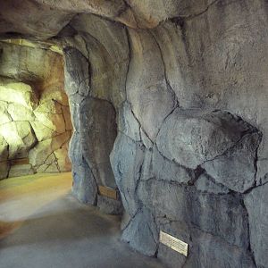 Herpetarium - Desert Dwellers Corridor